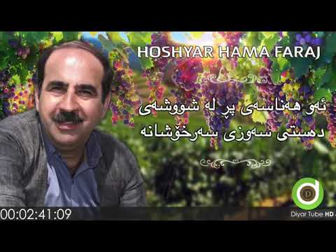     ھۆشیار حەمە فەرەج دابڕان