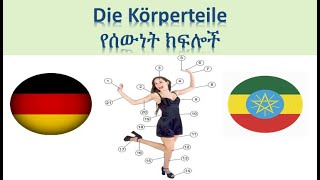 ጀርመንኛ - አማርኛ | German-Amharic | Die Körperteile - የሰውነት ክፍሎች