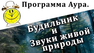Аура это звуки живого леса + будильник на компьютер. Бесплатная программа. Chironova.ru