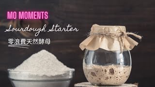 毛姐天然酵母 Mo's Sourdough Starter  Mo Moments 毛舜筠