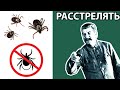 Почему в СССР не было КЛЕЩЕЙ?