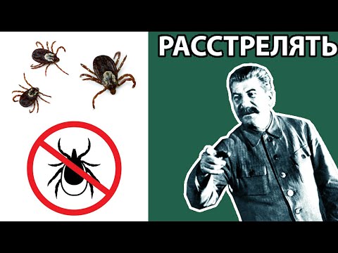 Видео: Откуда взялся ндебеле?