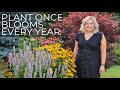 My 5 Must-Have Perennials (Perfect for Any Garden!)