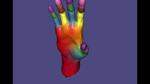 spline interpolation for animation