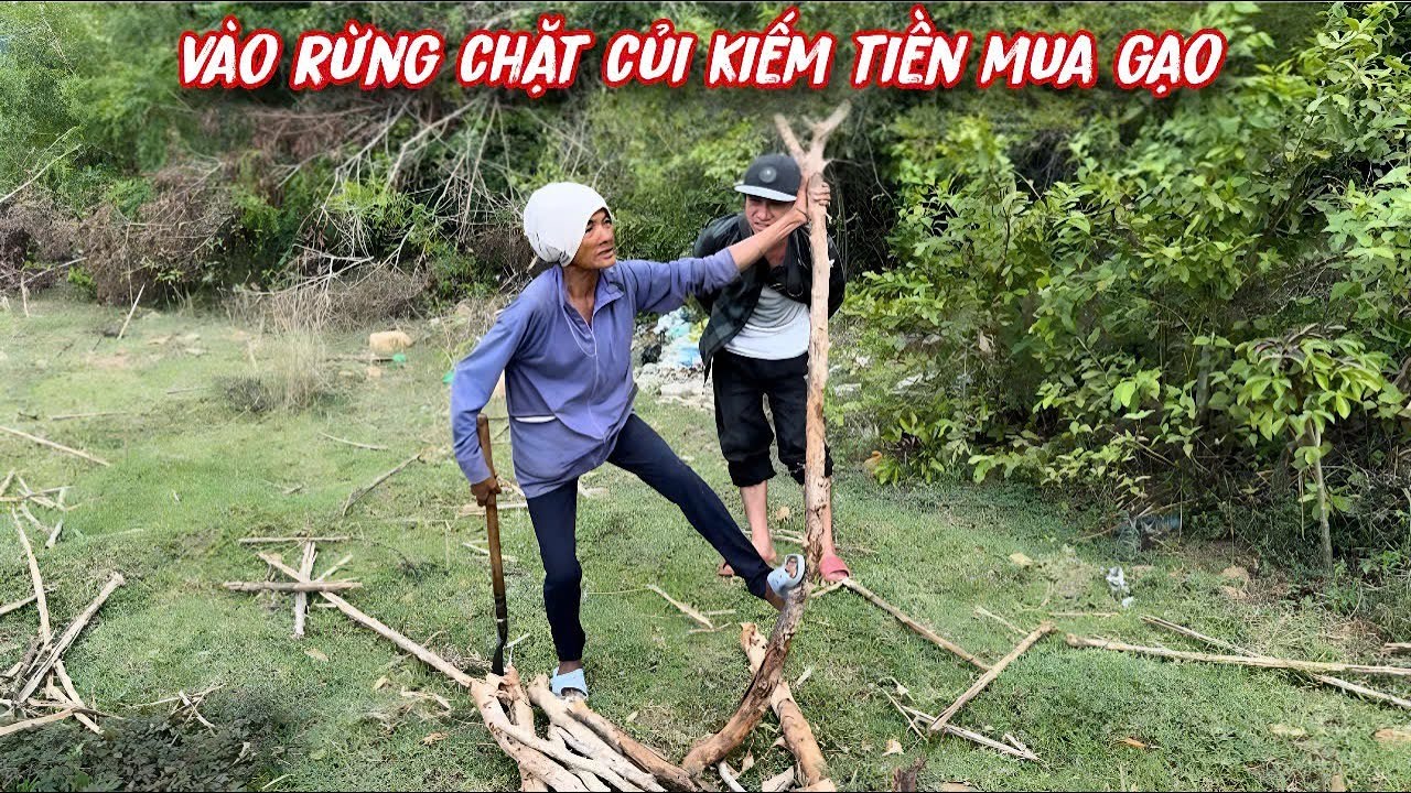 NGÀY LỄ 1/9 mà cô phải vào rừng chặt củi kiếm tiền mua GẠO ăn../614