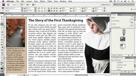 Adope Flash Tutorial CS4 Advanced Paragraph Options