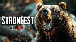 STRONGEST | Incredible documentary | WILD ONES | English Full Movie HD