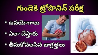 Troponin Test for Heart in Telugu | Troponin Blood Test
