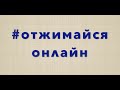 Отжимайся онлайн. Подведение итогов