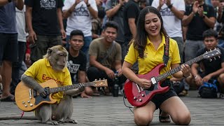 Download Lagu Monyet Main Gitar Akustik Listrik | Versi Dangdut Koplo Ter New MP3