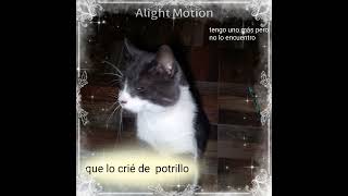 PORQUE ME PASA ESTO AMI!no sorpostar llorar haciendo esto #noflop #fyp #parati