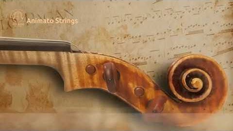 Animato Strings - Short Overview