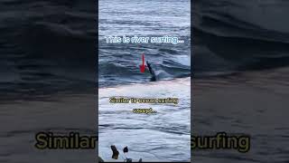 River Surfing What Is It?