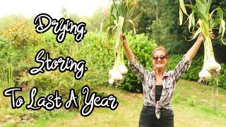 Harvesting, Drying & Storing Garlic | Make It Last A Whole Year