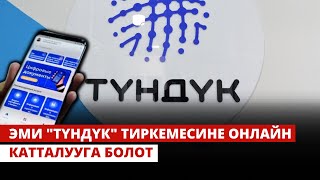 Эми "Түндүк" тиркемесине онлайн катталууга болот