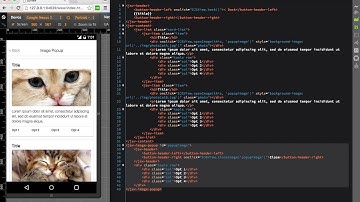 Open and Close image dynamic popup