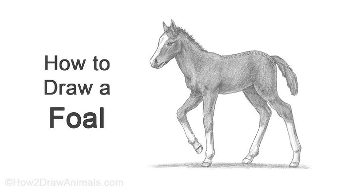 How to Draw a Horse Running