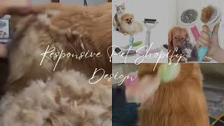 SHOPIFY WEBSITE DESIGN DEVELOPMENT | PET SHOPIFY STORE DESIGN | PET GROOMING | PET CARE | DOG CARE