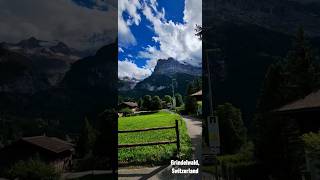 Grindelwald of Heaven??#shorts #europe #travel #nature #switherland #سفر #alps #visitswitzerland