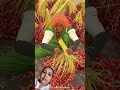 date farming #agrifuture #agriculture #youtubeshorts #trending
