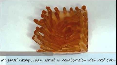 3D printed Shape memory pilers from the Magdassi Lab