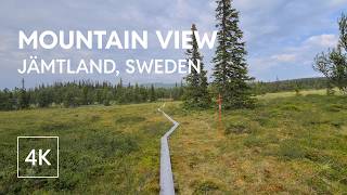 4K Summer Hike in JΓ€mtland β Forest, Bogs & Mountains 4K Summer Hike in JΓ€mtland β Forest, Bogs & Mountains