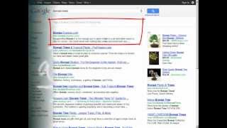 Link Emperor: The ONLY Link Building Service You'll Ever Need