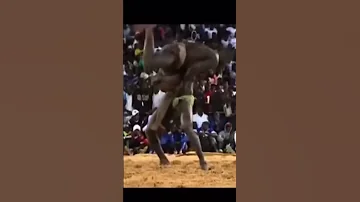 Lutte Simple Reug Reug Vs Mamady Ndiaye 