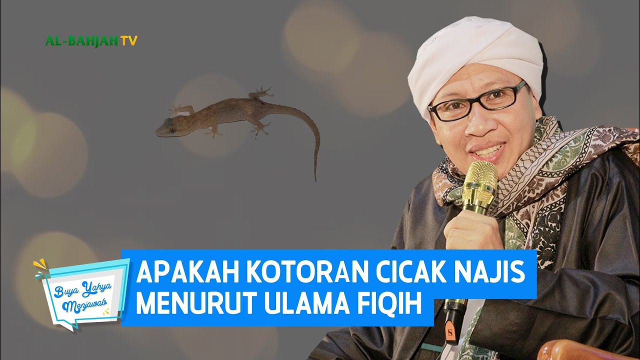 Apakah Kotoran Cicak Najis Menurut Ulama Fiqih | Buya Yahya Menjawab