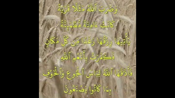 16 القرآن الكريم الآية 112 من السورة