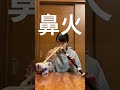 鼻火(HANABI / Mr.Children)