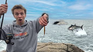TUNA Stole My Fish From Shore! | Plus MEGA RARE Find | The Fal Anglers