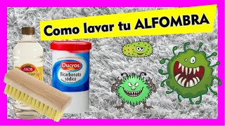 Como Lavar tu Alfombra / Tapete