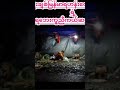 မျိုးချစ်မြန်မာရဟန်းတော်မျသမဂ္ဂ