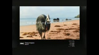 I Am Legend 2007 End Credits Amc 2020