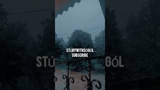 Packing Our Objects For Coming Back To Homeat 530Am