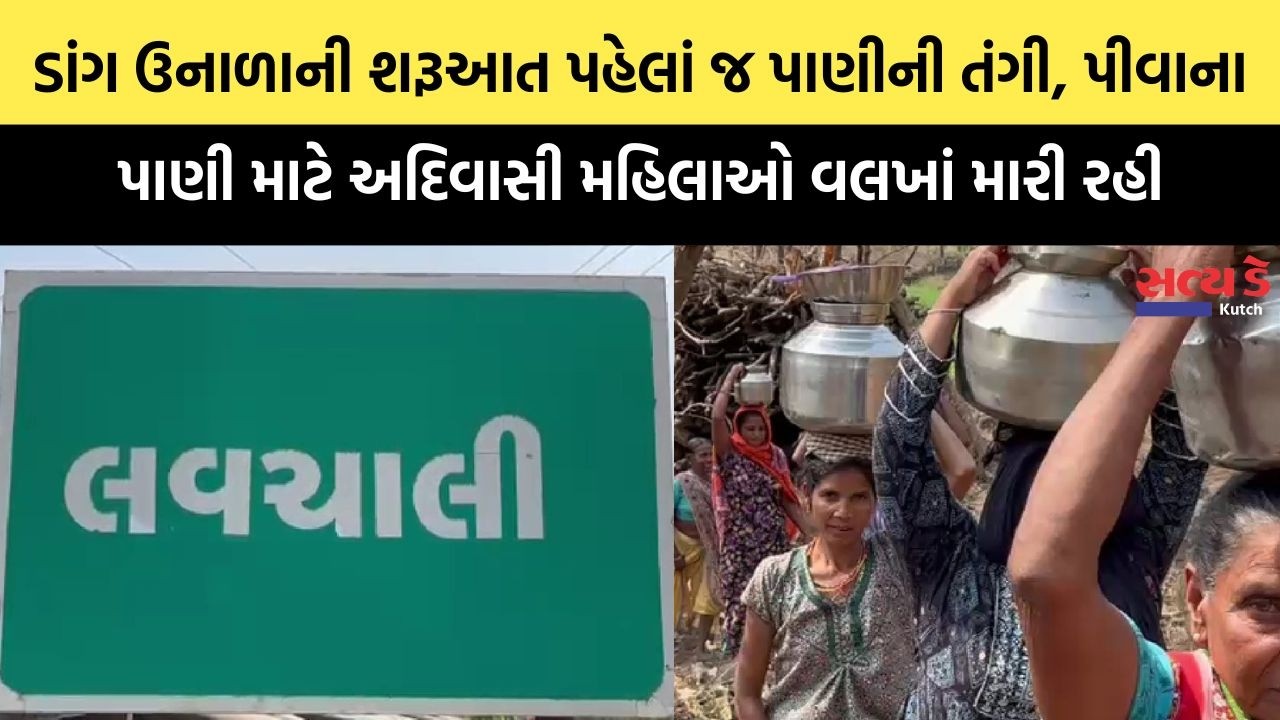 ડાંગ ઉનાળાની શરૂઆત પહેલાં જ પાણીની તંગી, પીવાના પાણી માટે અદિવાસી મહિલાઓ વલખાં મારી રહી