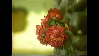 Version 1 of the video