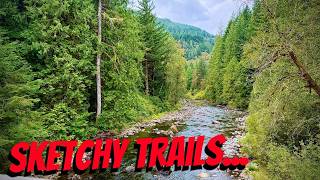 VLOG 798: forest rampage! (Wildwood Recreation Site)