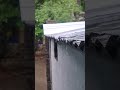 “Cozy Rain on a Tin Roof”