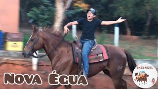 Treinando Nossa Nova Égua, A Bela - Irmãos Machs