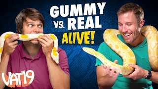 Gummy Vs Real Live Animals Vat19Its Alive Gummy Vs. Real Vat19