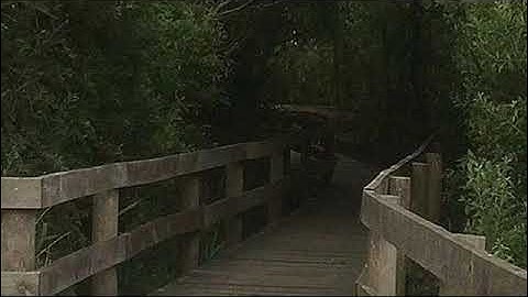 [1Hour] SIERRA - UNBROKEN