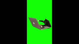 타자 치는 고양이 (A typing cat) / greenscreenmeme / meme / 그린스크린 / 밈