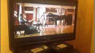 black beauty uk vhs 1995
