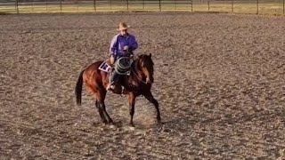 All About Riggs - Ride 112