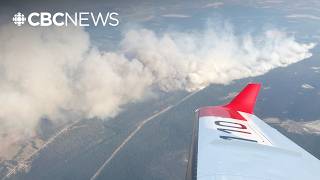 Wait Creek wildfire forces hundreds to evacuate in East Kootenay