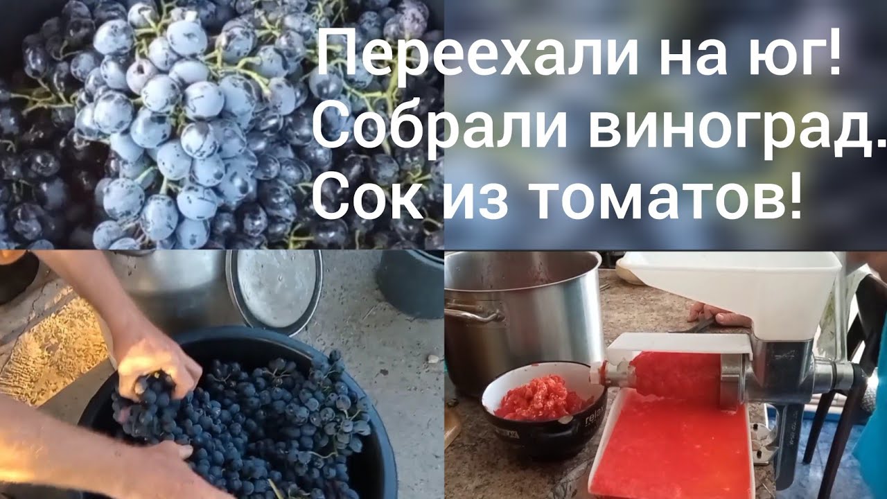 Особенности культуры: от природы до вкусовых качеств