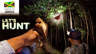 Dark Night Partridge Bird Hunt in Jamaica | Epic Adventure @Bluelifeadventures