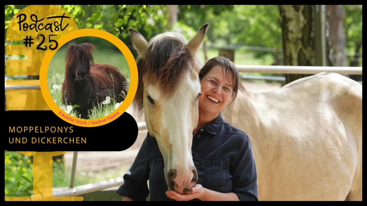 Sanoanimal Podcast #25 - Moppelponys & Dickerchen - YouTube